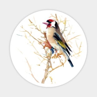 Goldfinch Magnet